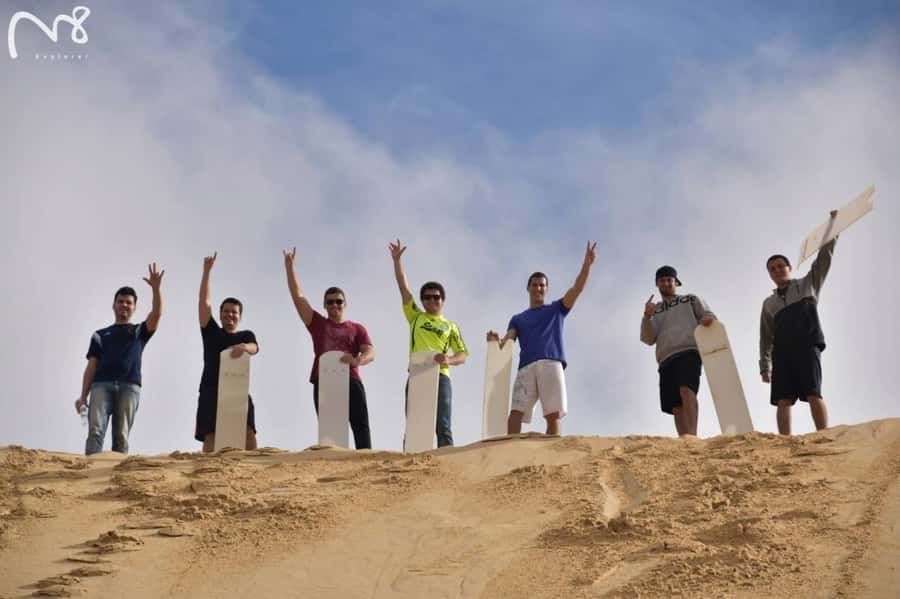 Sydney: Port Stephens Day Trip with Dolphin Cruise or Hike - Guides, Pace, and Group Comfort