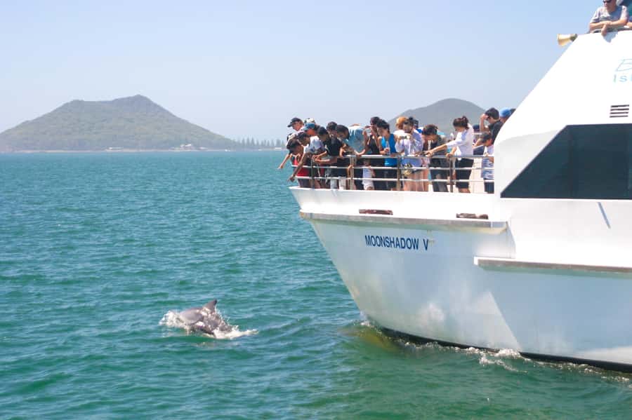 Sydney: Port Stephens Dolphin Cruise & Sandboarding Day Trip - Key points at a glance