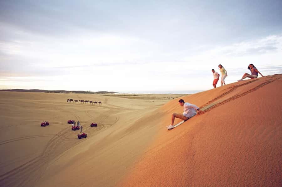 Sydney: Port Stephens Dolphin Cruise & Sandboarding Day Trip - Why Port Stephens makes a strong Sydney day trip