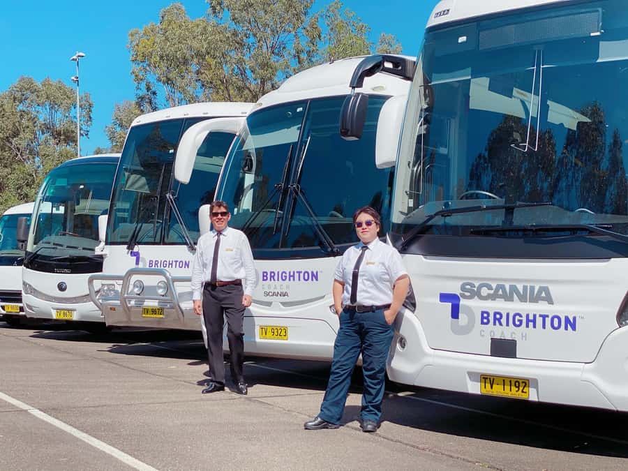 Sydney: Port Stephens Dolphin Cruise & Sandboarding Day Trip - Sandboarding across the Stockton dunes