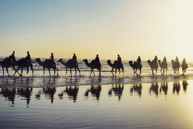 Sydney: Port Stephens Sandboarding, Dunes & Dolphin Cruise option - Who will enjoy this trip most