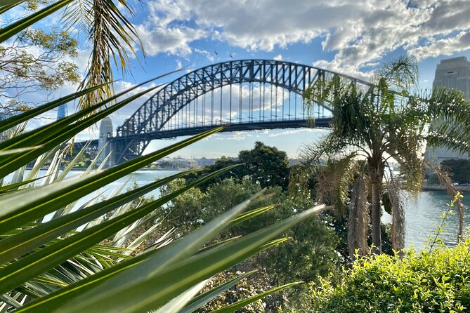 Sydney: PRIVATE City Highlights & Ocean Front Luxe Tour (4h) - What the private vehicle adds
