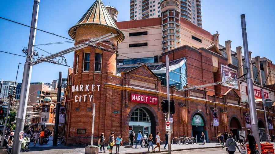 Sydney Private & Custom Walking Experience with a Local - Starting at the Cenotaph and getting your bearings