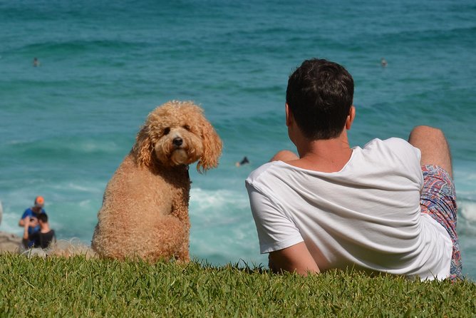 Sydney Private Experience with a Local 3-8hrs: Icons & Gems - Start with Sydney’s central sights