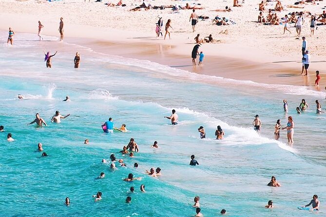 Sydney Private Full-Day Tour: Opera House, Bondi Beach & Secrets - Lunch and harbour views at Felons Brewing Co. in Manly