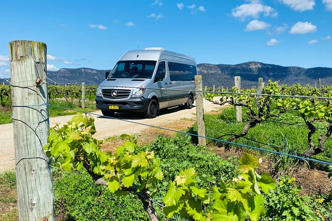 Sydney: PRIVATE Hunter Valley Wine Tasting Luxe Tour (10h) - Private transport and the value of the high price