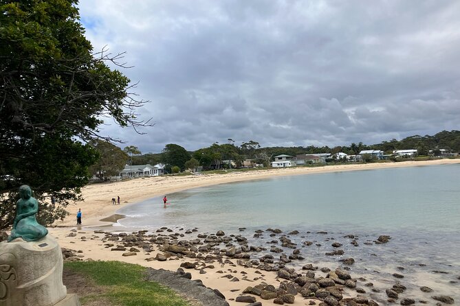 Sydney Private Tour Inc The Royal National Park and Symbio Zoo - Symbio Wildlife Park adds koalas and kangaroo feeding