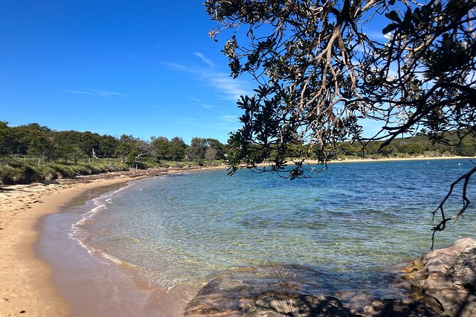 Sydney Private Tour Inc The Royal National Park and Symbio Zoo - Sea Cliff Bridge closes the day with a memorable walk
