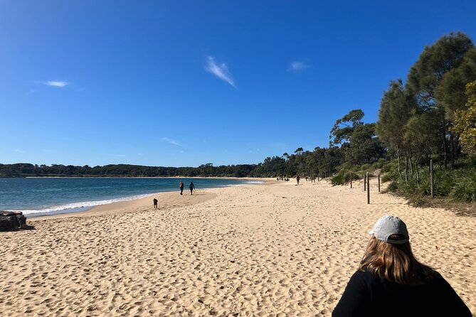Sydney Private Tour Inc The Royal National Park and Symbio Zoo - Who will get the most from this day