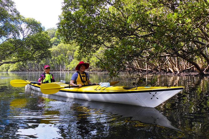 Sydney's Middle Harbour Sea Kayaking Eco Tour (Fully Guided) - The secluded beach morning tea