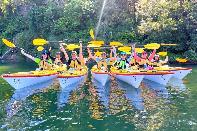 Sydney's Middle Harbour Sea Kayaking Eco Tour (Fully Guided) - Why the small group changes the experience