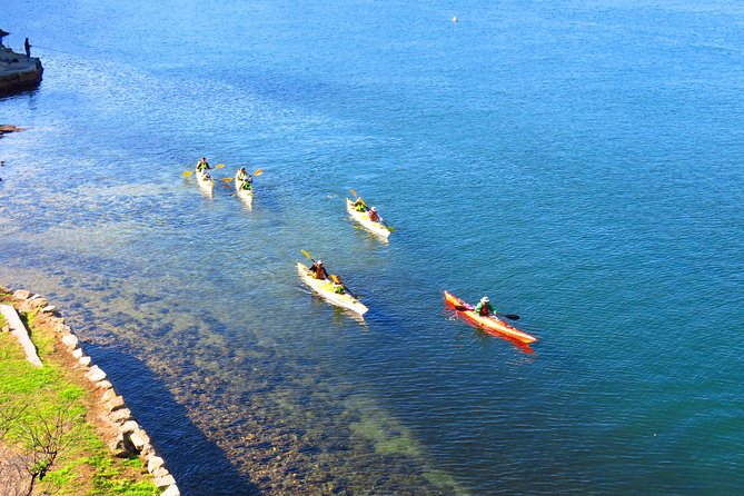 Sydney's Middle Harbour Sea Kayaking Eco Tour (Fully Guided) - A gentle pace with room to learn