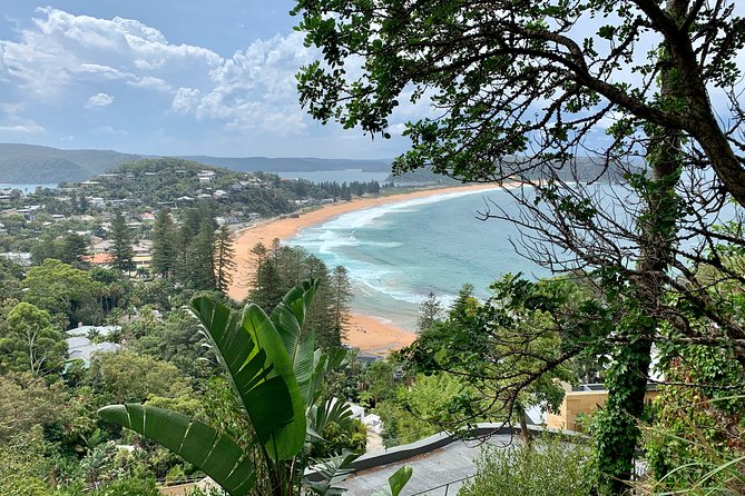 Sydney's Northern Beaches & Ku-ring-gai National Park Small Tour departing Manly - Long Reef Point and seasonal whale views