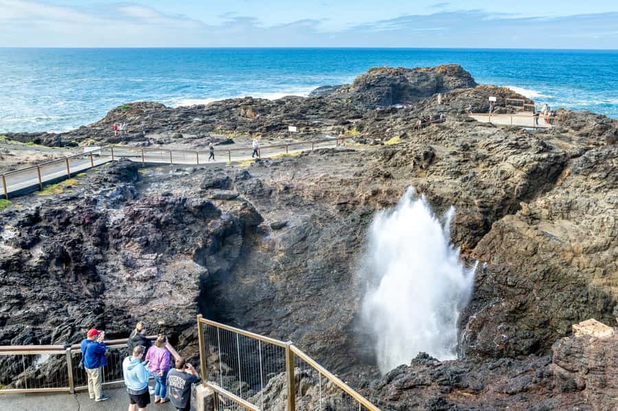 Sydney: Sea Cliff Bridge, Kiama Blowhole and Farmlands Tour - Key points to know before booking