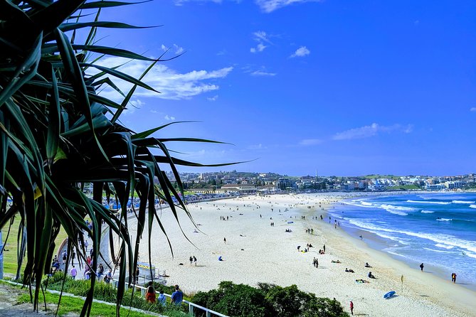 Sydney Secrets and Bondi Beach 4 HOUR AFTERNOON PRIVATE TOUR - Bondi Beach, Icebergs, and lunch by the water
