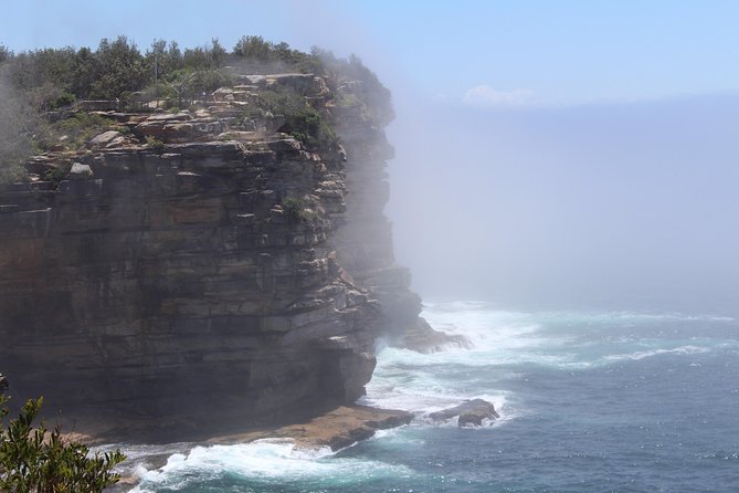 Sydney Shore Excursion: Half-Day Sydney City Highlights and Manly - Arabanoo Lookout and the northern suburbs