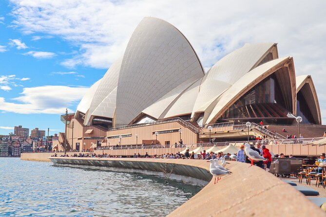 Sydney Six Beaches Trike Tour - Private touring and special needs