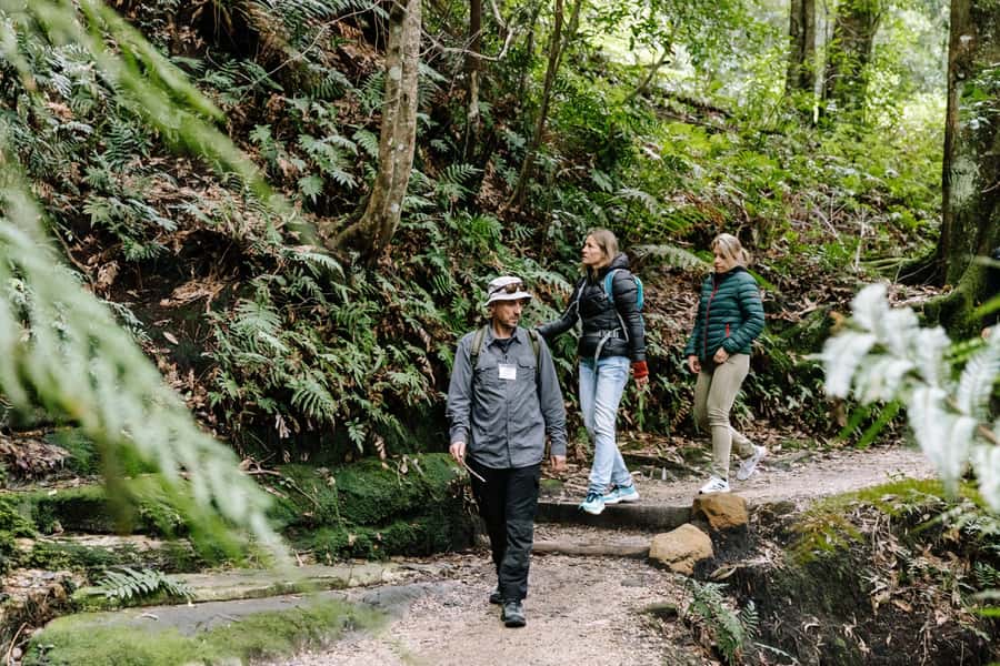 Sydney: Small Group Blue Mountains, Wildlife & Waterfalls - The Sydney pickup and ride west