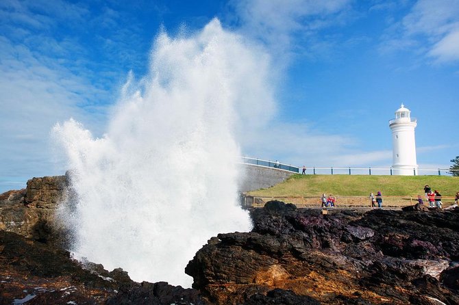 Sydney South Coast to Country Private Tour | Grand Pacific Drive - Kiama Blowhole and the power of the sea