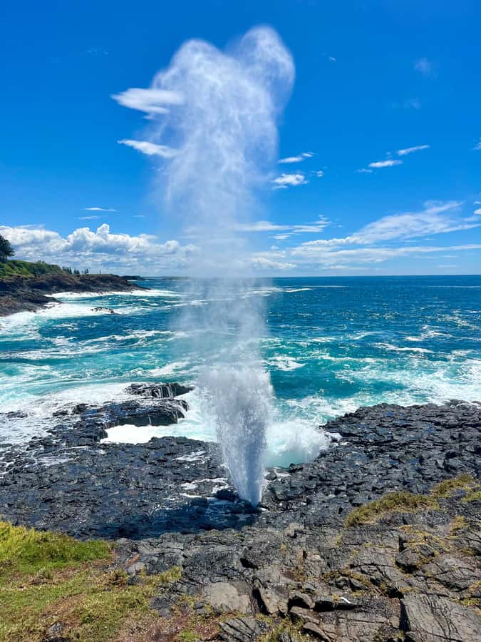 Sydney: Southern Highlands and South Coast Private Tour - Transport, pace, and private-tour comfort