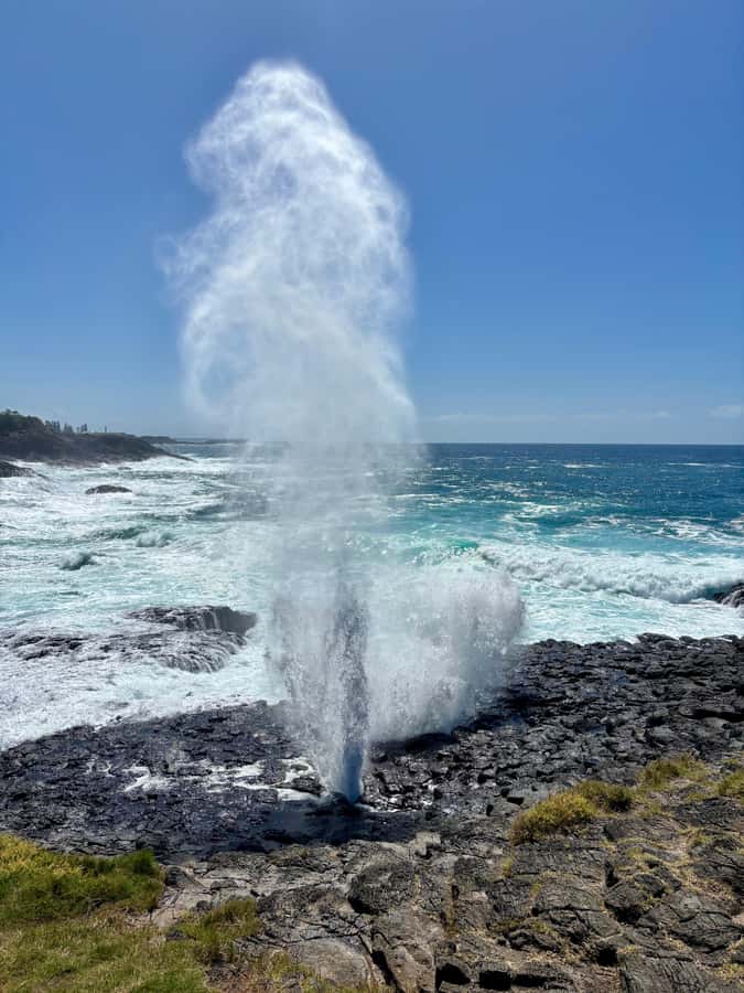 Sydney: Southern Highlands and South Coast Private Tour - What the $322 price really buys