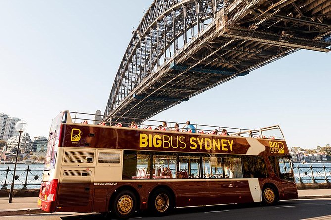 Sydney Speed Boat Adventure Harbour Tour - Shark Island, Clark Island, and closer views
