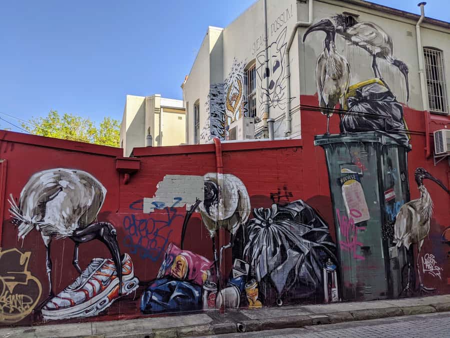 Sydney: Street Art & Small Bar Tour with Complimentary Drink - Wednesday in Newtown and along Enmore Road