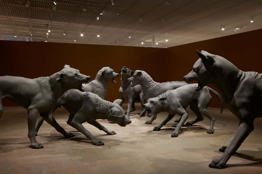 Sydney Summer Art Exhibitions Art Gallery of New South Wales - Accessibility and practical comfort