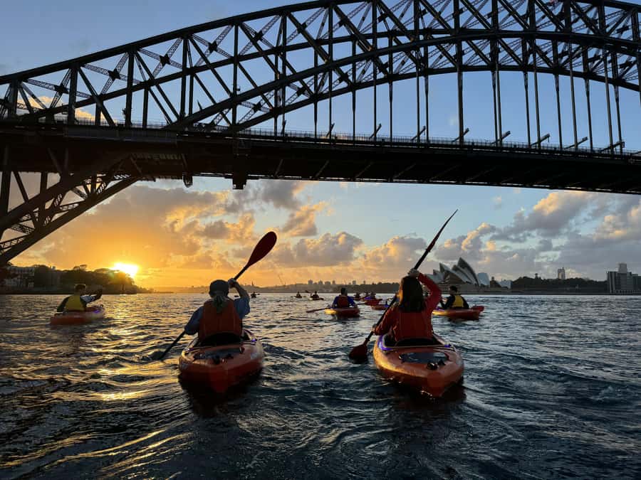 Sydney: Sunrise Kayak, Opera House & Under Harbour Bridge - Weather, effort, and what to bring