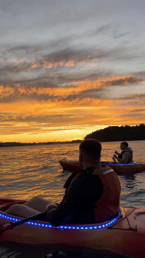 Sydney: Sunset Kayak Tour on Sydney Harbour - How Much Value You Get for $105