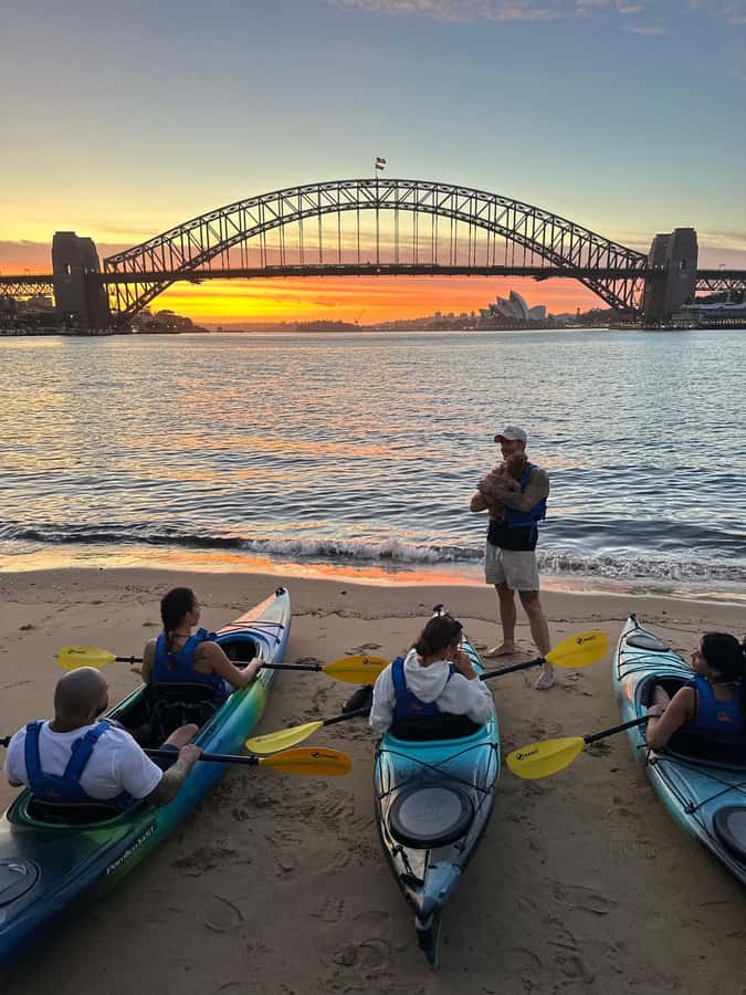 Sydney: Sunset Kayak Tour with Opera House Views - Sydney Harbour from a Kayak, Not a Ferry Window