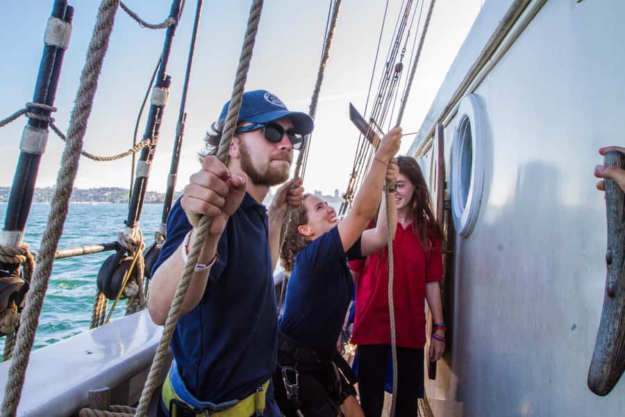 Sydney: Tall Ship Harbour Twilight Dinner Cruise - Is $77 good value?