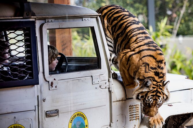 Sydney Taronga Zoo General Entry Ticket - Animal encounters and guided activities