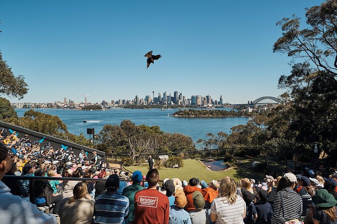 Sydney Taronga Zoo's Aussie Backyard Adventure Tour - Why this tour works well at Taronga Zoo