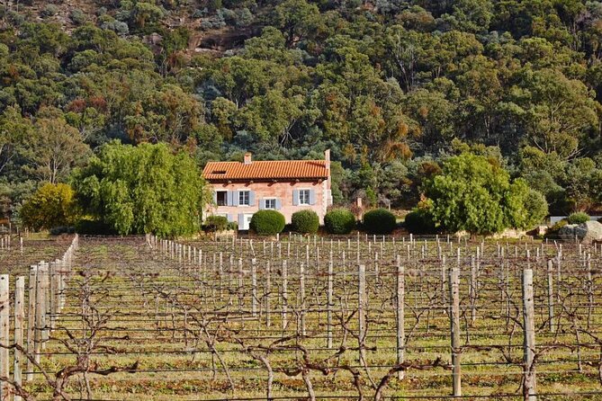 Sydney to Hunter Valley Wine Tour | Gin, Lunch, Chocolatier Visit - The ride back to Sydney