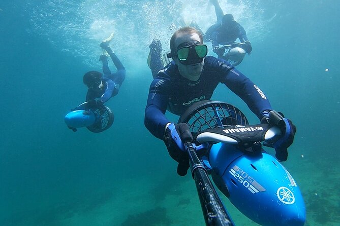 sydney underwater scooter tours - Key points at a glance