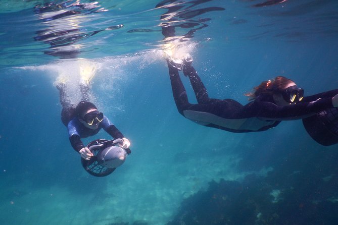 sydney underwater scooter tours - What the Clovelly scooter experience actually involves