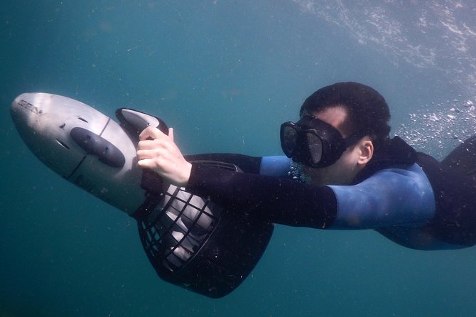 sydney underwater scooter tours - Who should book this Clovelly activity