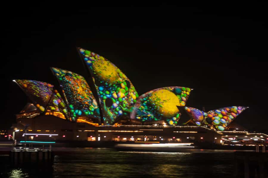 Sydney: Vivid Festival of Light Harbor Cruise with Dinner - Key points to know before you book