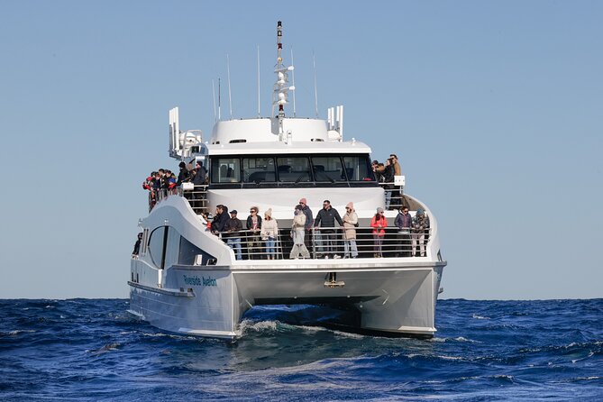 Sydney Whale Watching - 2.5hr Discovery Cruise - Leaving Darling Harbour with Sydney in view