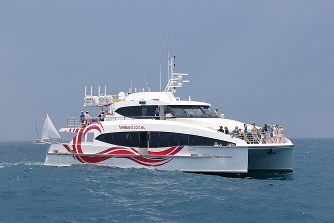Sydney Whale Watching - 2.5hr Discovery Cruise - Outdoor decks or the climate-controlled cabin