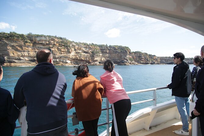 Sydney Whale Watching - 2.5hr Discovery Cruise - When the trip feels less satisfying