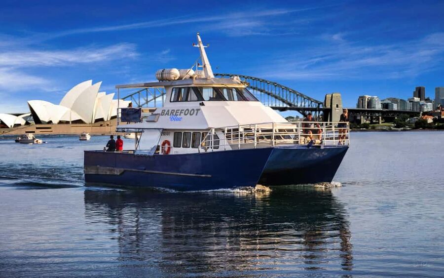 Sydney: Whale Watching Adventure Cruise - Whales Guaranteed! - From Eastern Pontoon to Sydney Heads