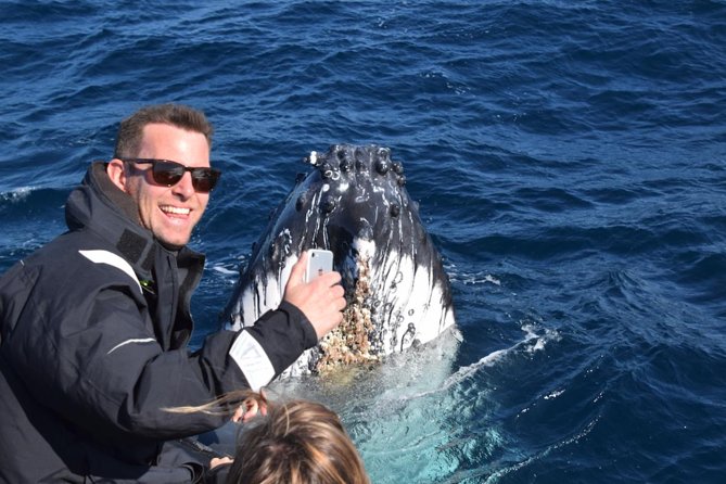Sydney Whale-Watching by Speed Boat - What you get for $92.52