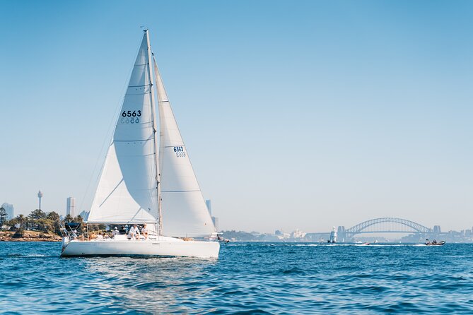 Sydney Whale Watching Cruise from Circular Quay - How the whale guarantee really works