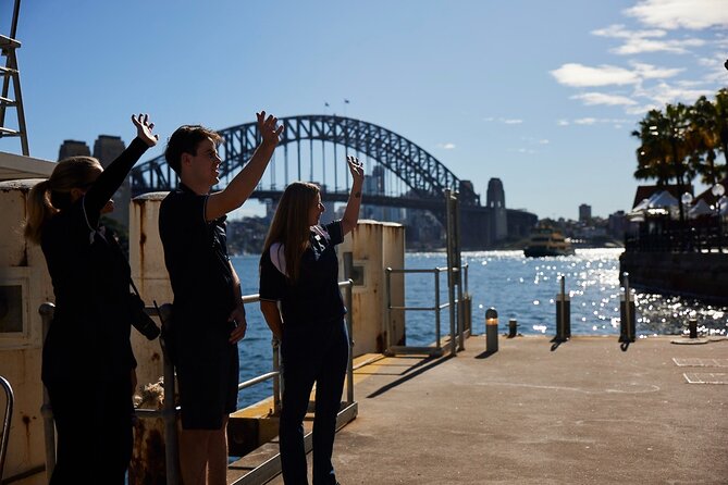 Sydney Whale-Watching Cruise Including Lunch or Breakfast - Searching for Humpback Whales