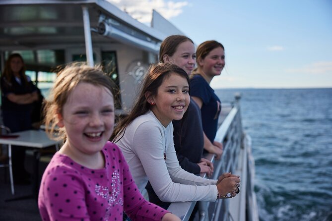 Sydney Whale-Watching Cruise Including Lunch or Breakfast - Is $74.59 Good Value?