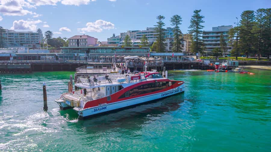 Sydney: Whale Watching & Hop On Hop Off Cruise Package - What the whale guarantee really means