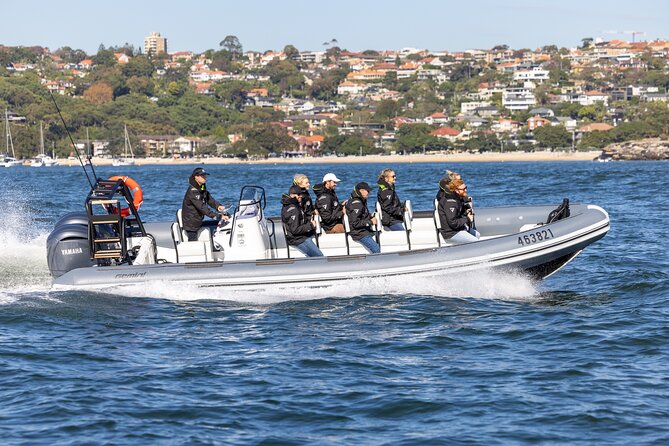 Sydney Whale Watching on Small RIB - Key points at a glance