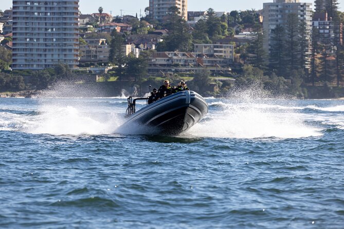 Sydney Whale Watching on Small RIB - About 85 minutes searching for humpback whales